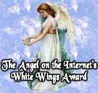 Angel on the Internet Award