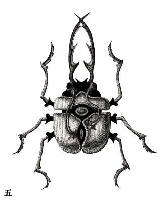 Tau Beetle
